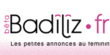 Logo_badili
